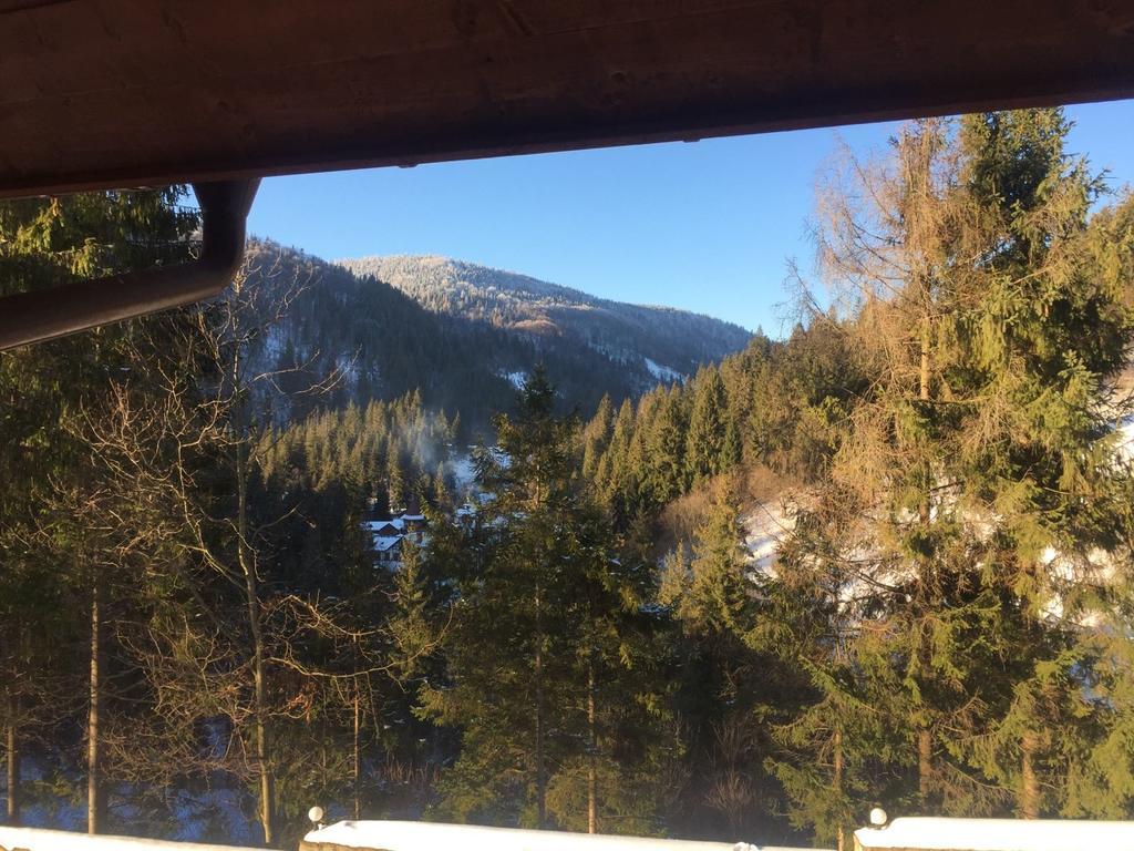 Na Gori Villa Slavske Luaran gambar