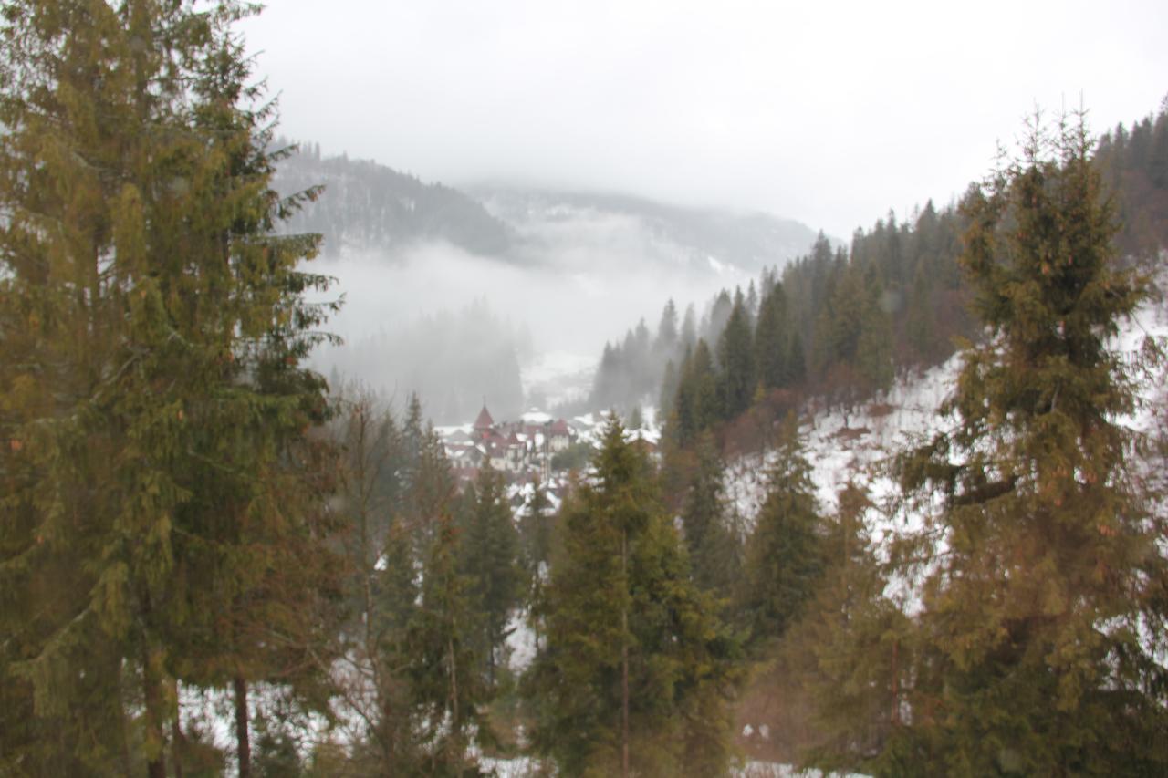 Na Gori Villa Slavske Luaran gambar